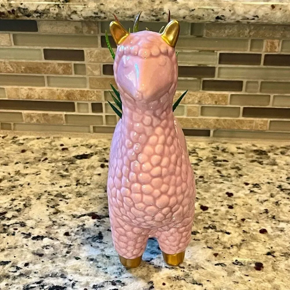 Pink Llama Succulent Ceramic Flower Pot New